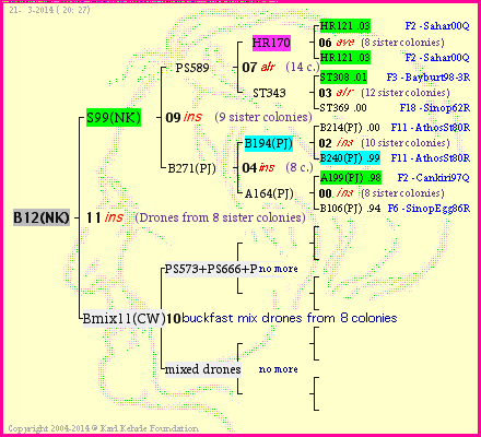 Pedigree of B12(NK) :
four generations presented