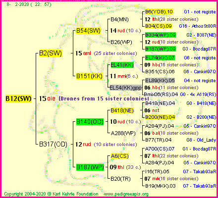 Pedigree of B12(SW) :
four generations presented<br />it's temporarily unavailable, sorry!