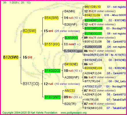 Pedigree of B12(SW) :
four generations presented<br />it's temporarily unavailable, sorry!