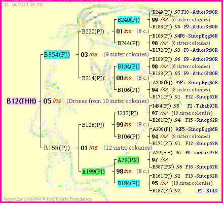 Pedigree of B12(THH) :
four generations presented