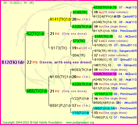 Pedigree of B12(TK)1dr :
four generations presented
it's temporarily unavailable, sorry!