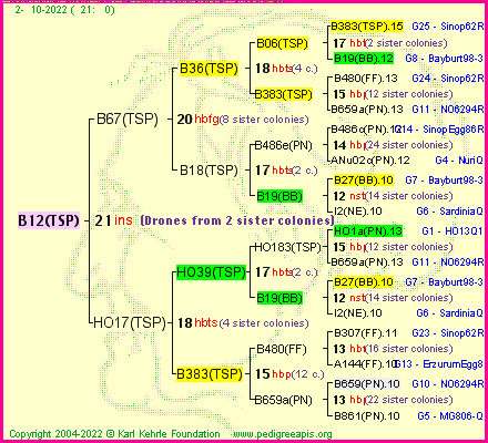 Pedigree of B12(TSP) :
four generations presented
it's temporarily unavailable, sorry!