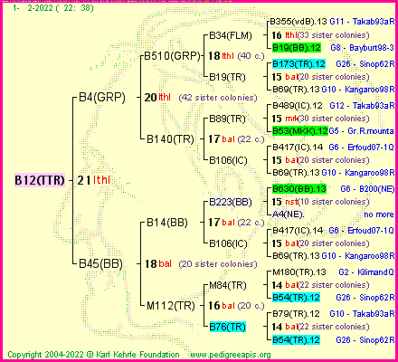 Pedigree of B12(TTR) :
four generations presented
it's temporarily unavailable, sorry!