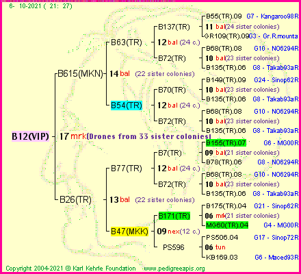 Pedigree of B12(VIP) :
four generations presented
it's temporarily unavailable, sorry!