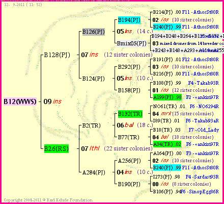 Pedigree of B12(WWS) :
four generations presented