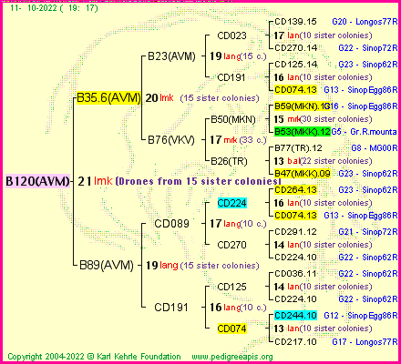 Pedigree of B120(AVM) :
four generations presented
it's temporarily unavailable, sorry!