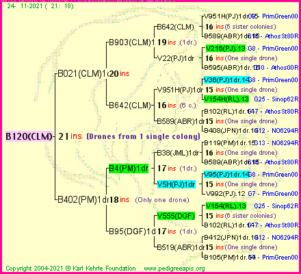 Pedigree of B120(CLM) :
four generations presented
it's temporarily unavailable, sorry!