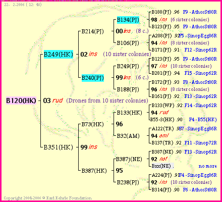 Pedigree of B120(HK) :
four generations presented