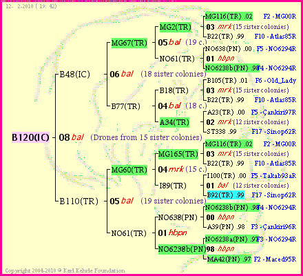 Pedigree of B120(IC) :
four generations presented