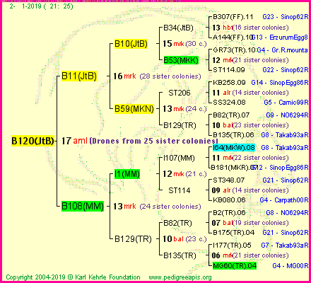 Pedigree of B120(JtB) :
four generations presented<br />it's temporarily unavailable, sorry!