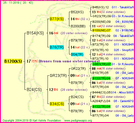 Pedigree of B120(KS) :
four generations presented<br />it's temporarily unavailable, sorry!