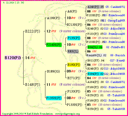 Pedigree of B120(PJ) :
four generations presented<br />it's temporarily unavailable, sorry!