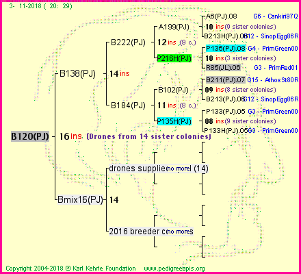 Pedigree of B120(PJ) :
four generations presented<br />it's temporarily unavailable, sorry!