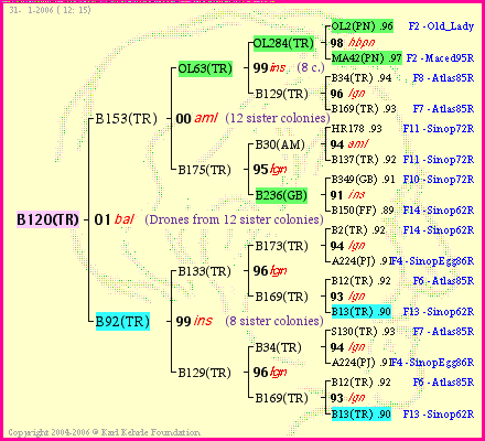 Pedigree of B120(TR) :
four generations presented<br />it's temporarily unavailable, sorry!
