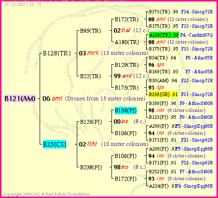 Pedigree of B121(AM) :
four generations presented<br />it's temporarily unavailable, sorry!