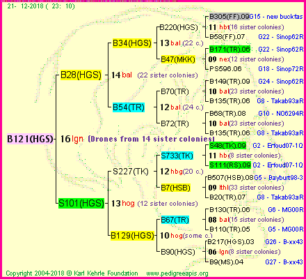 Pedigree of B121(HGS) :
four generations presented<br />it's temporarily unavailable, sorry!