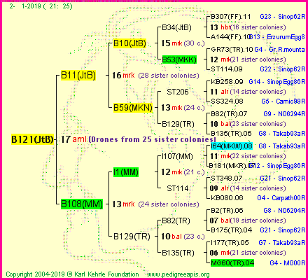 Pedigree of B121(JtB) :
four generations presented<br />it's temporarily unavailable, sorry!