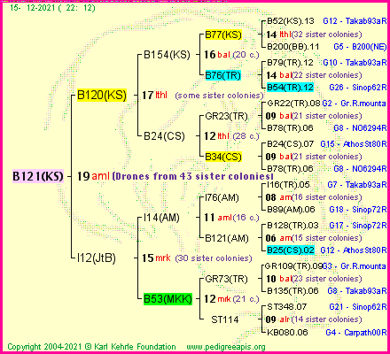 Pedigree of B121(KS) :
four generations presented
it's temporarily unavailable, sorry!