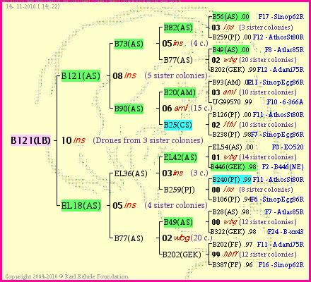 Pedigree of B121(LB) :
four generations presented