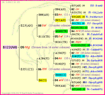 Pedigree of B122(AH) :
four generations presented