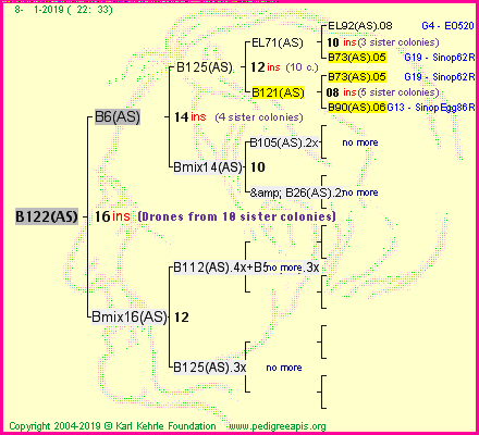 Pedigree of B122(AS) :
four generations presented
it's temporarily unavailable, sorry!