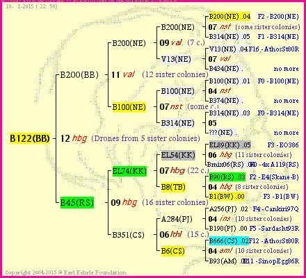 Pedigree of B122(BB) :
four generations presented