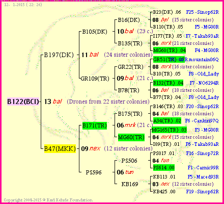 Pedigree of B122(BCI) :
four generations presented