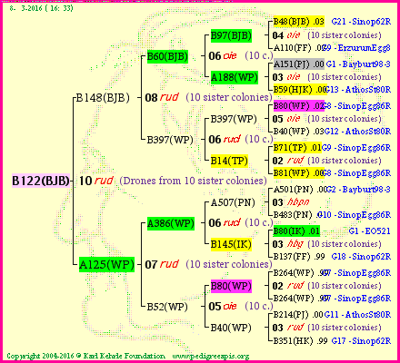 Pedigree of B122(BJB) :
four generations presented