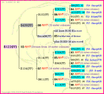 Pedigree of B122(FF) :
four generations presented