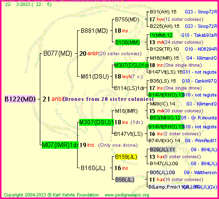 Pedigree of B122(MD) :
four generations presented
it's temporarily unavailable, sorry!