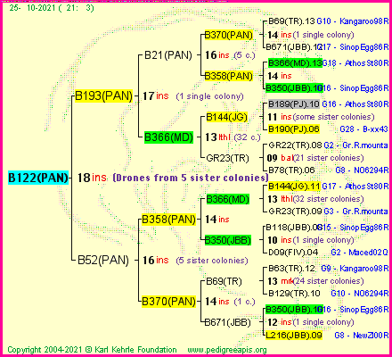 Pedigree of B122(PAN) :
four generations presented
it's temporarily unavailable, sorry!