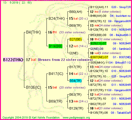 Pedigree of B122(THK) :
four generations presented<br />it's temporarily unavailable, sorry!