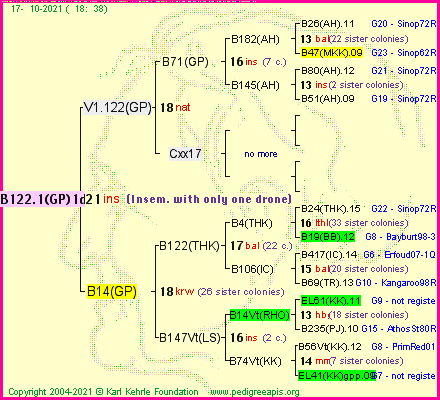 Pedigree of B122.1(GP)1dr :
four generations presented
it's temporarily unavailable, sorry!