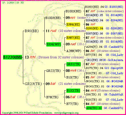 Pedigree of B1220(BB) :
four generations presented