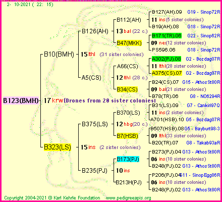 Pedigree of B123(BMH) :
four generations presented
it's temporarily unavailable, sorry!