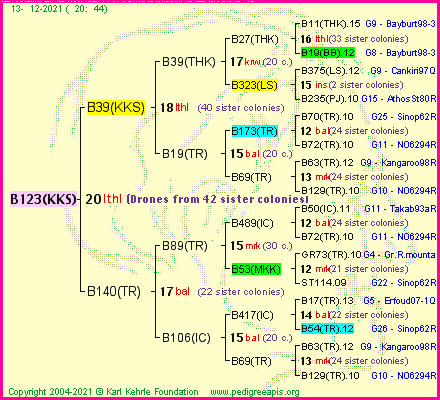 Pedigree of B123(KKS) :
four generations presented
it's temporarily unavailable, sorry!