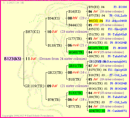 Pedigree of B123(KS) :
four generations presented