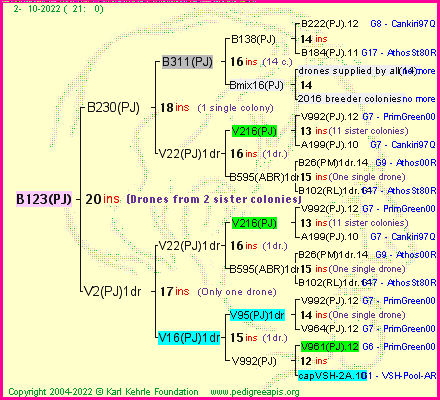 Pedigree of B123(PJ) :
four generations presented
it's temporarily unavailable, sorry!