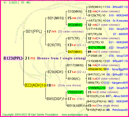 Pedigree of B123(PPL) :
four generations presented
it's temporarily unavailable, sorry!