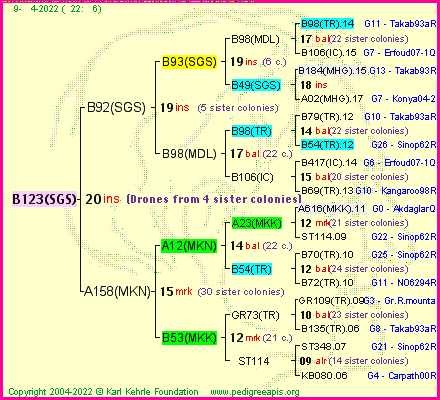 Pedigree of B123(SGS) :
four generations presented
it's temporarily unavailable, sorry!