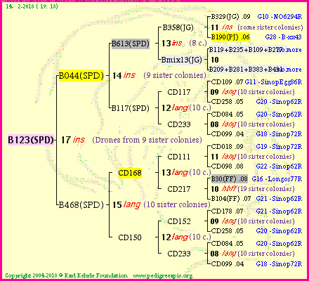 Pedigree of B123(SPD) :
four generations presented<br />it's temporarily unavailable, sorry!