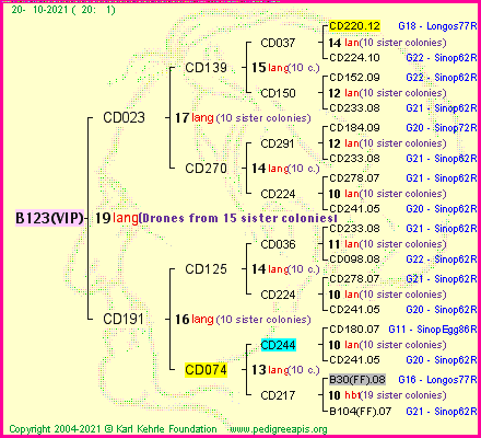 Pedigree of B123(VIP) :
four generations presented
it's temporarily unavailable, sorry!