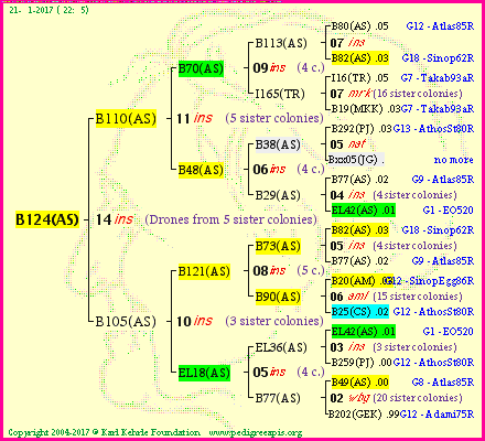 Pedigree of B124(AS) :
four generations presented<br />it's temporarily unavailable, sorry!