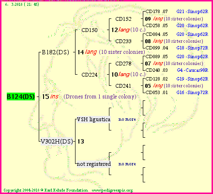 Pedigree of B124(DS) :
four generations presented