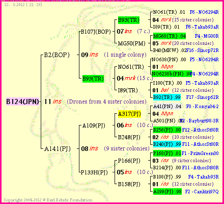 Pedigree of B124(JPN) :
four generations presented