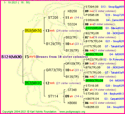 Pedigree of B124(MKN) :
four generations presented
it's temporarily unavailable, sorry!