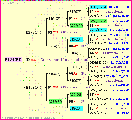 Pedigree of B124(PJ) :
four generations presented