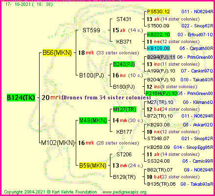 Pedigree of B124(TK) :
four generations presented
it's temporarily unavailable, sorry!