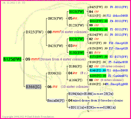 Pedigree of B125(FW) :
four generations presented