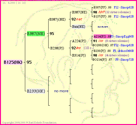 Pedigree of B125(HK) :
four generations presented